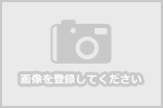 テスト活動報告