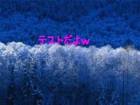 花見２００９