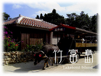 ５月１０日～５月２０日　断食